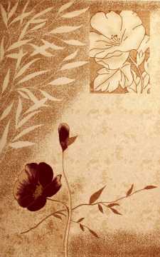 Koyunlu Standart Şebboy Bordo