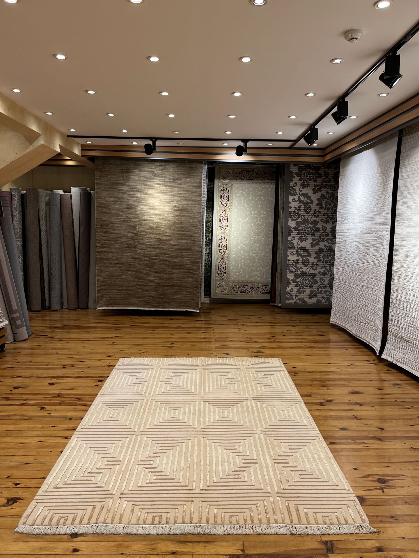 Kabartma ipek Desenli Modern Halı