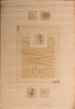 Belçika'dan İthal Makine Halısı