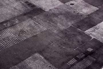 Beyaz Desenleri Bambu İpek Olan Yün Zeminli Halı