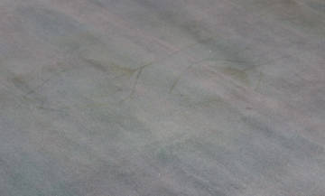 Ortasında Gizli Lale Deseni olan Mavi Halı 1.60 x 2.30